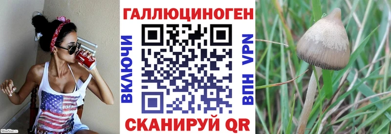 Галлюциногенные грибы Psilocybe  Купить  Кунгур 